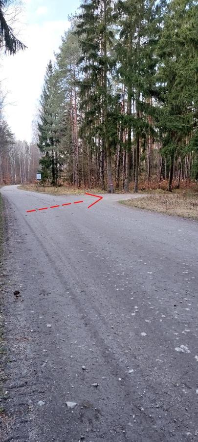 Agroturystyka Lesna Babka Jastrowie エクステリア 写真